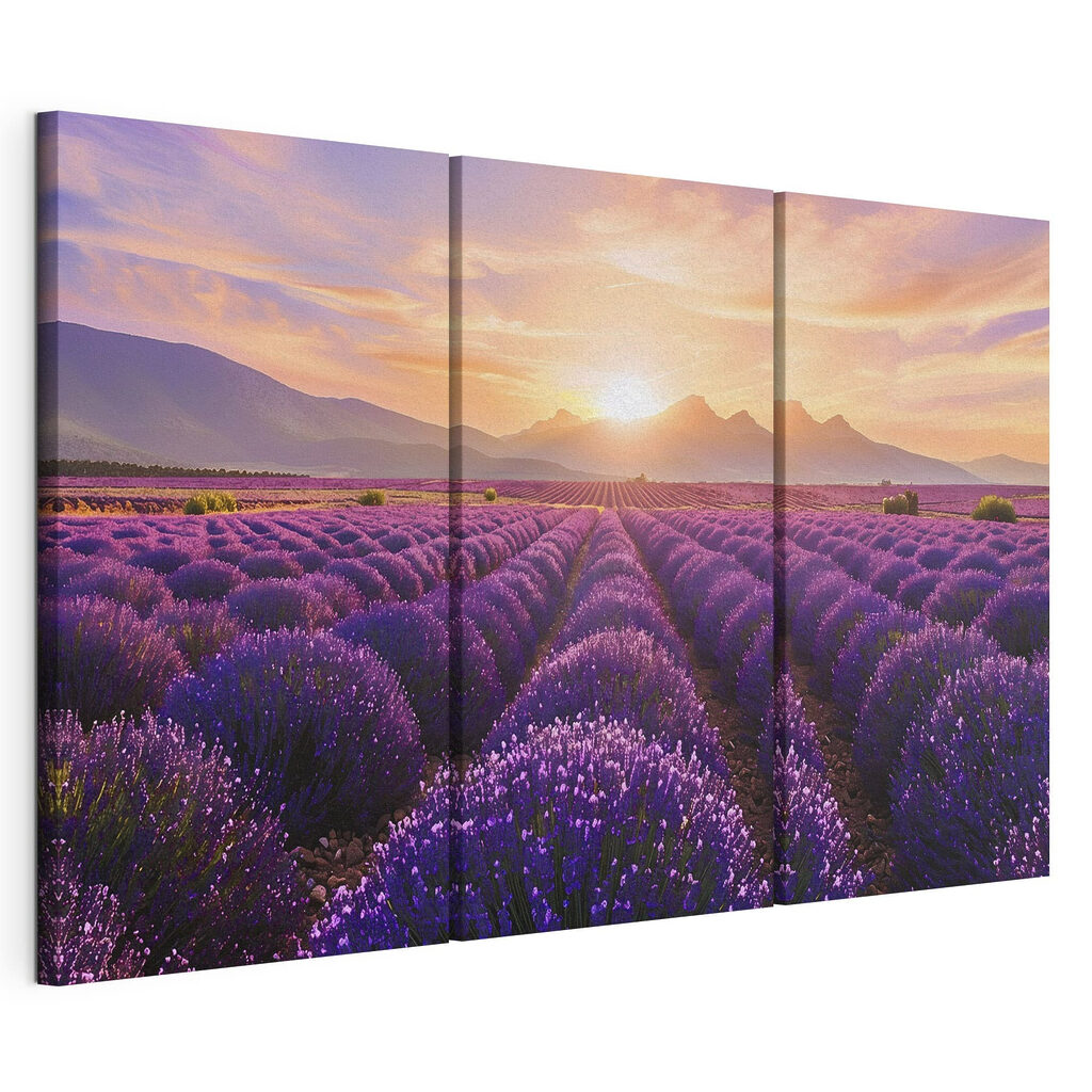 Rangs fleuris au couchant — vue du produit