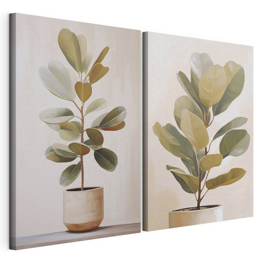 Plante aux larges feuilles — vue du produit