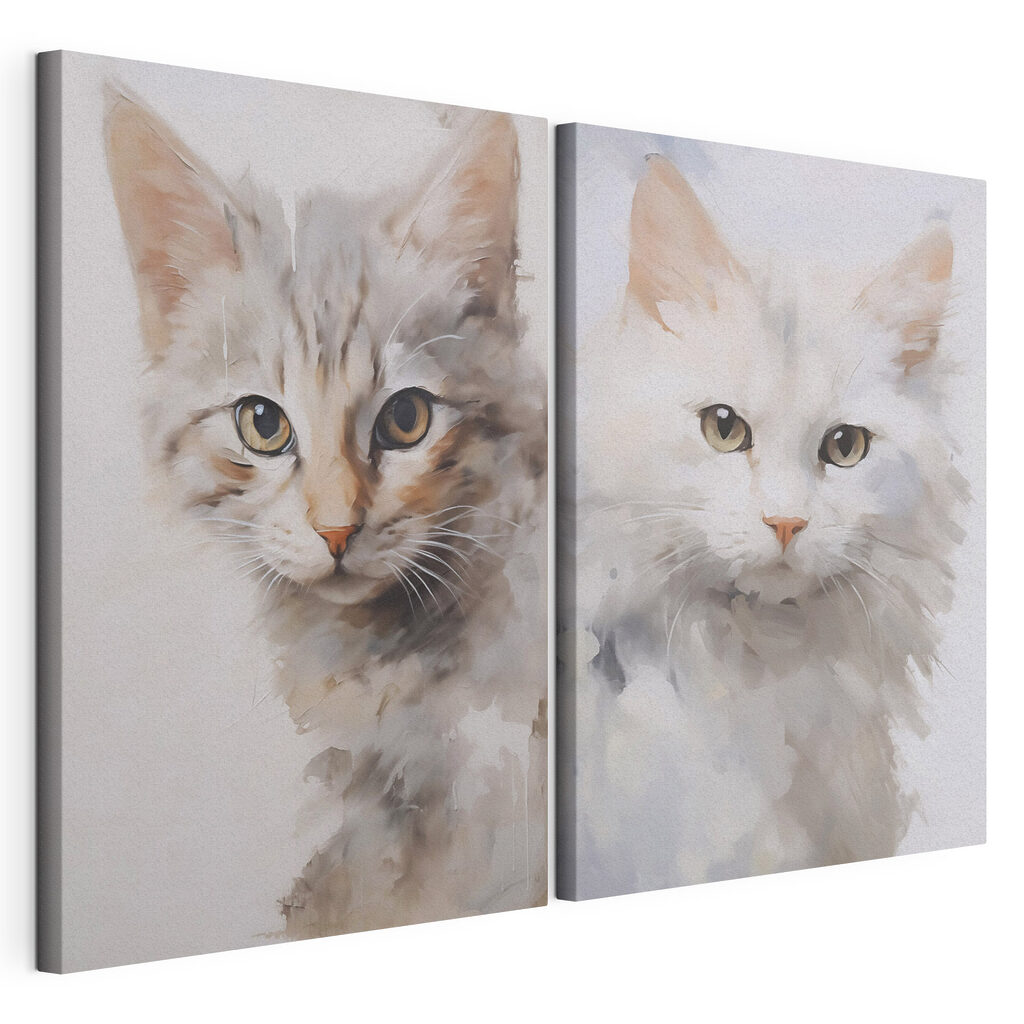Deux chatons — vue du produit