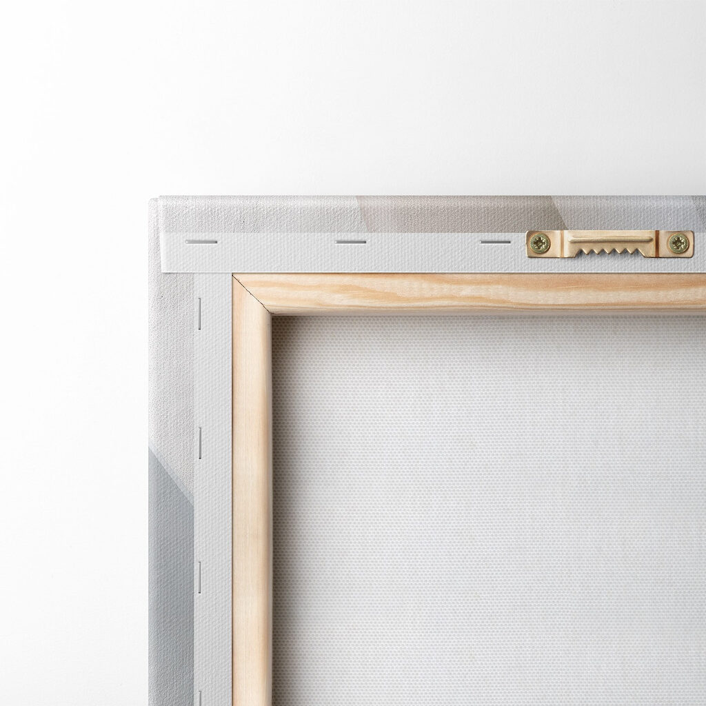 Courbes et ombres douces — dos