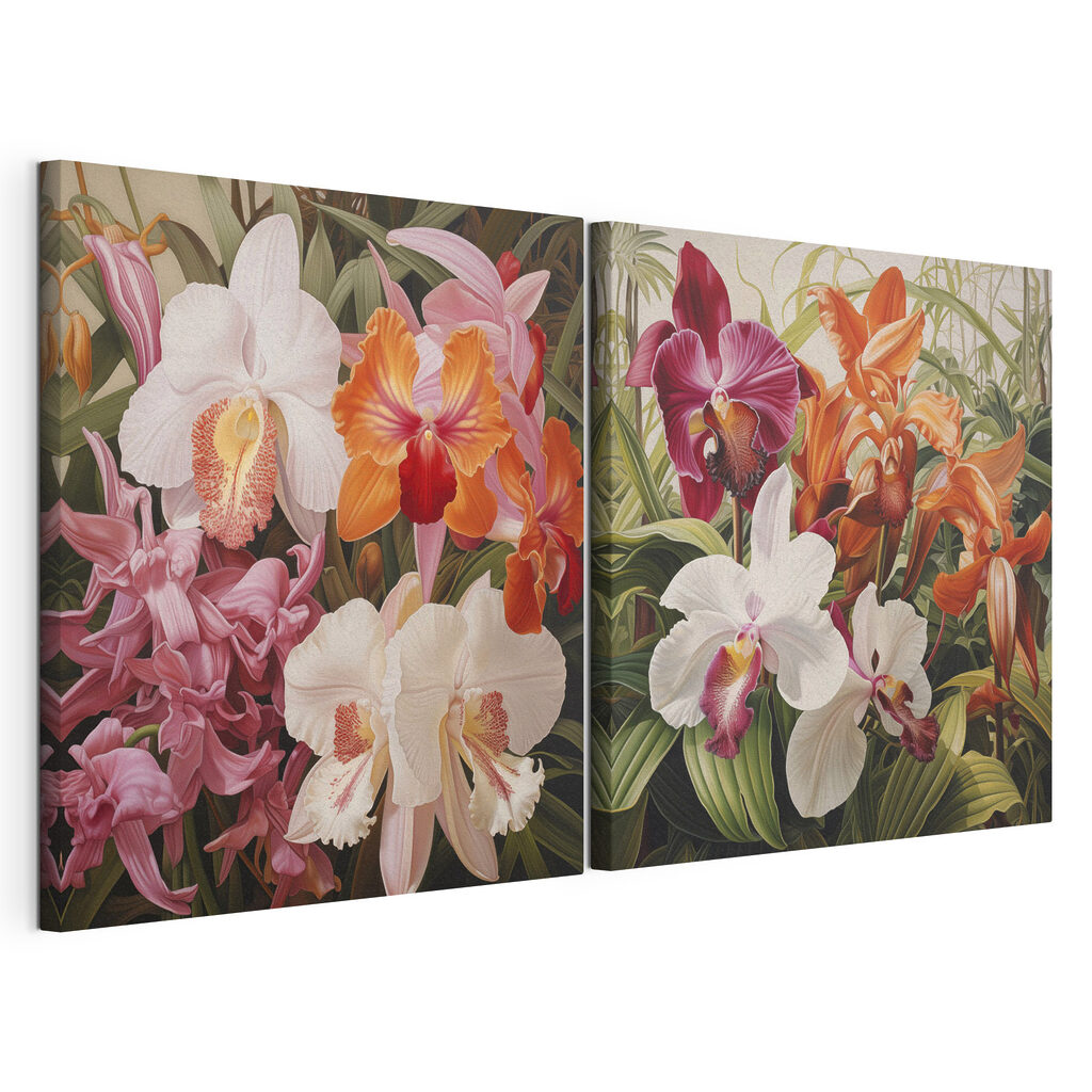 Orchidées colorées — vue du produit