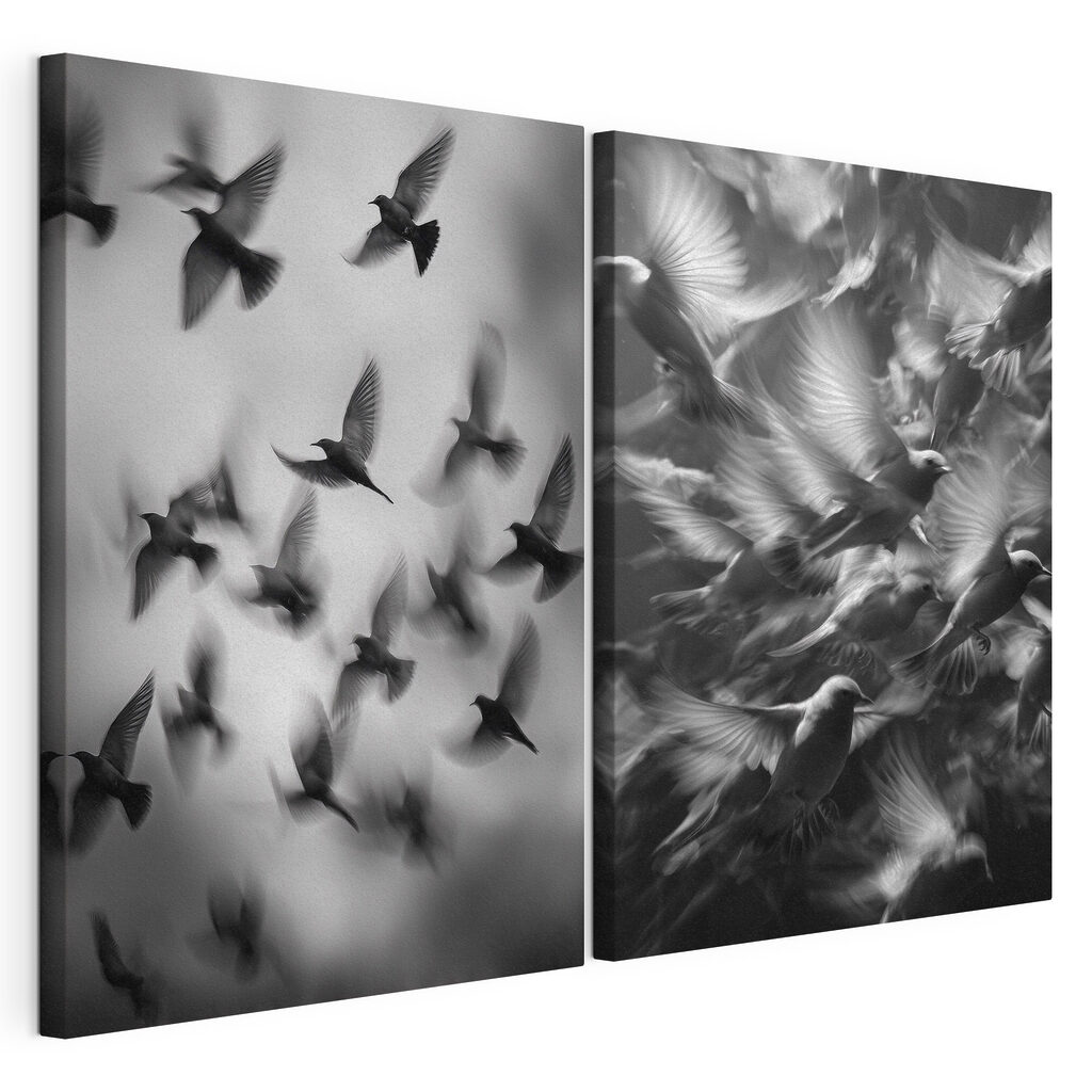Battements d’ailes — vue du produit