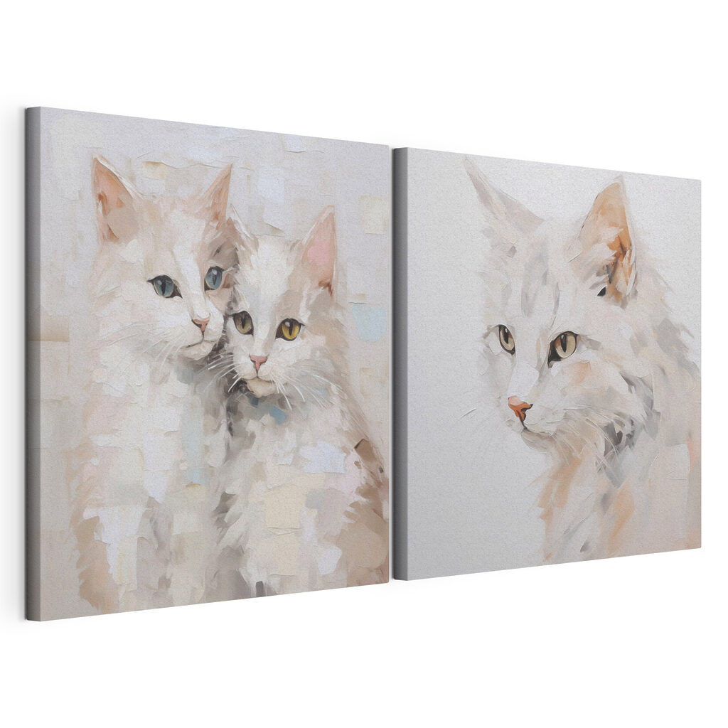 Chats blancs — vue du produit