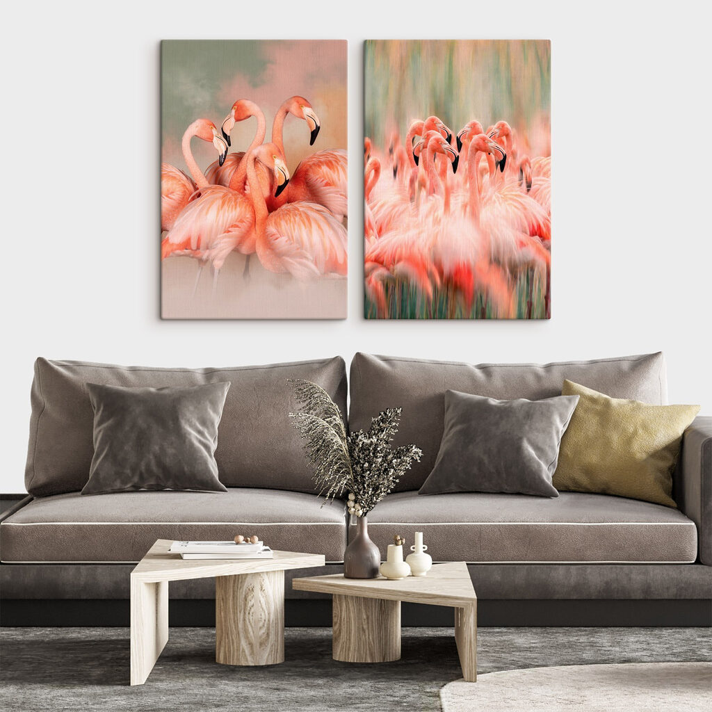Colonie de flamants — intérieur 2