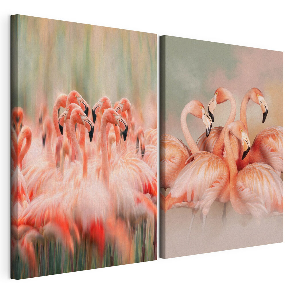 Colonie de flamants, toile tendue et bord enveloppé