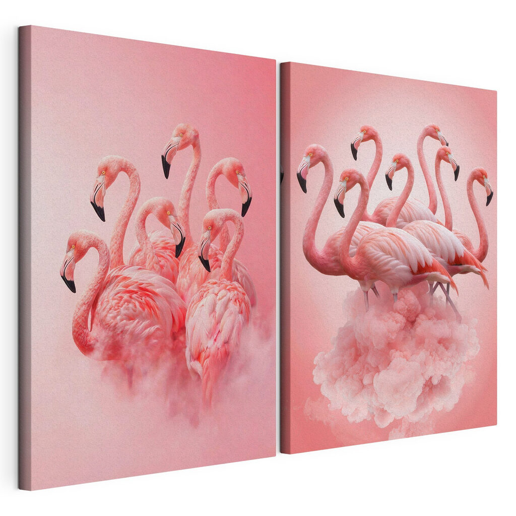 Flamants dans les nuages — vue du produit