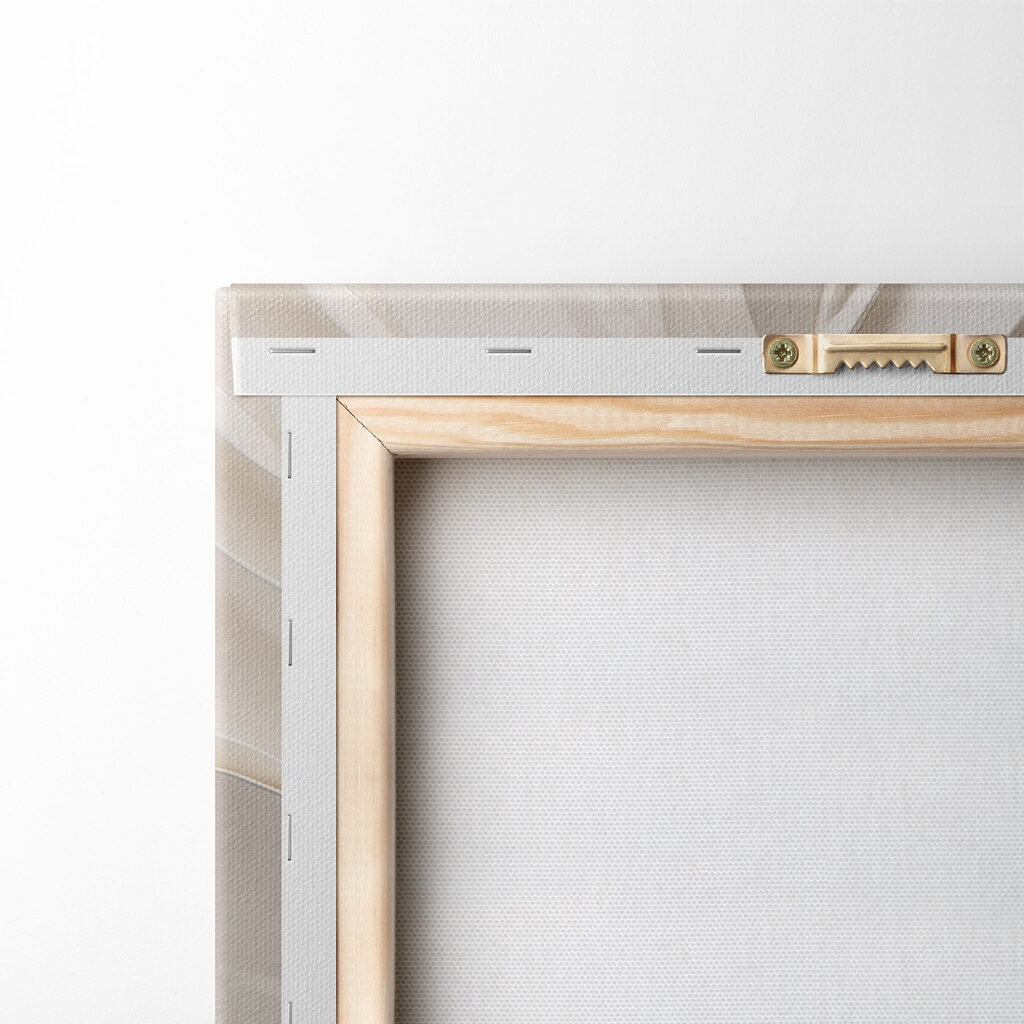 Grandes fleurs blanches — dos