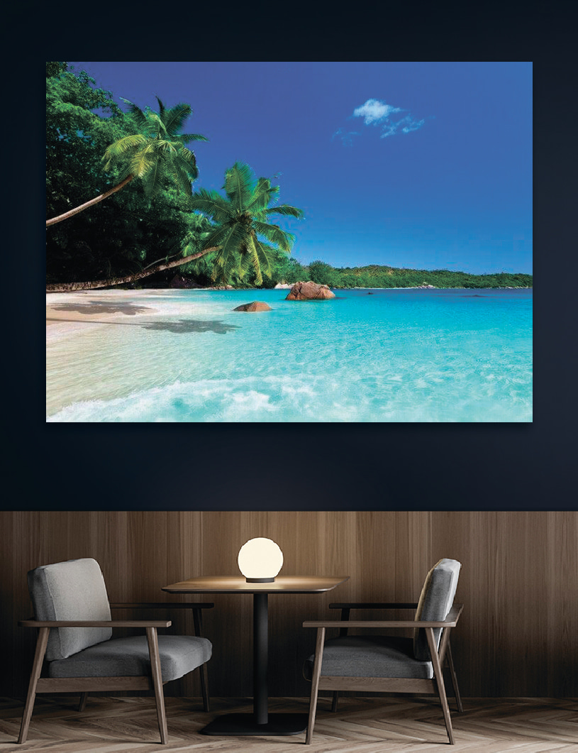 Baie sous les palmiers — intérieur 3