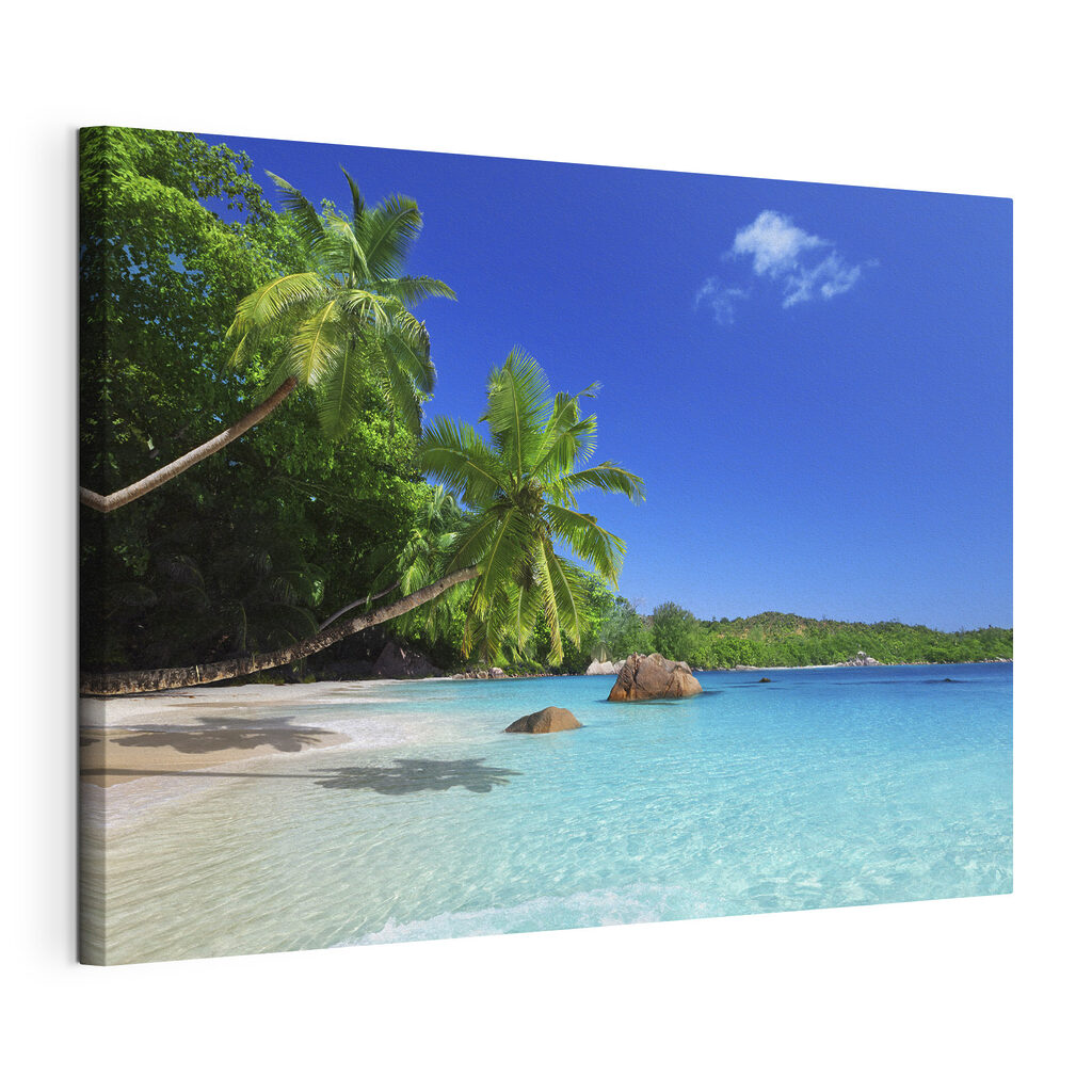 Baie sous les palmiers, toile tendue et bord enveloppé