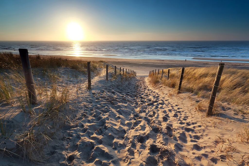 Soleil derrière les dunes — motif complet