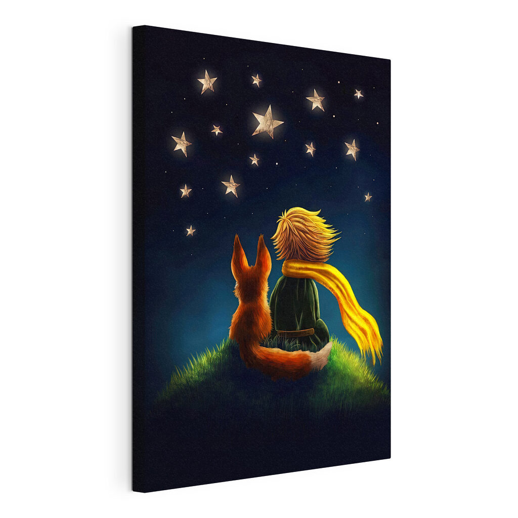Amis sous les étoiles — vue du produit