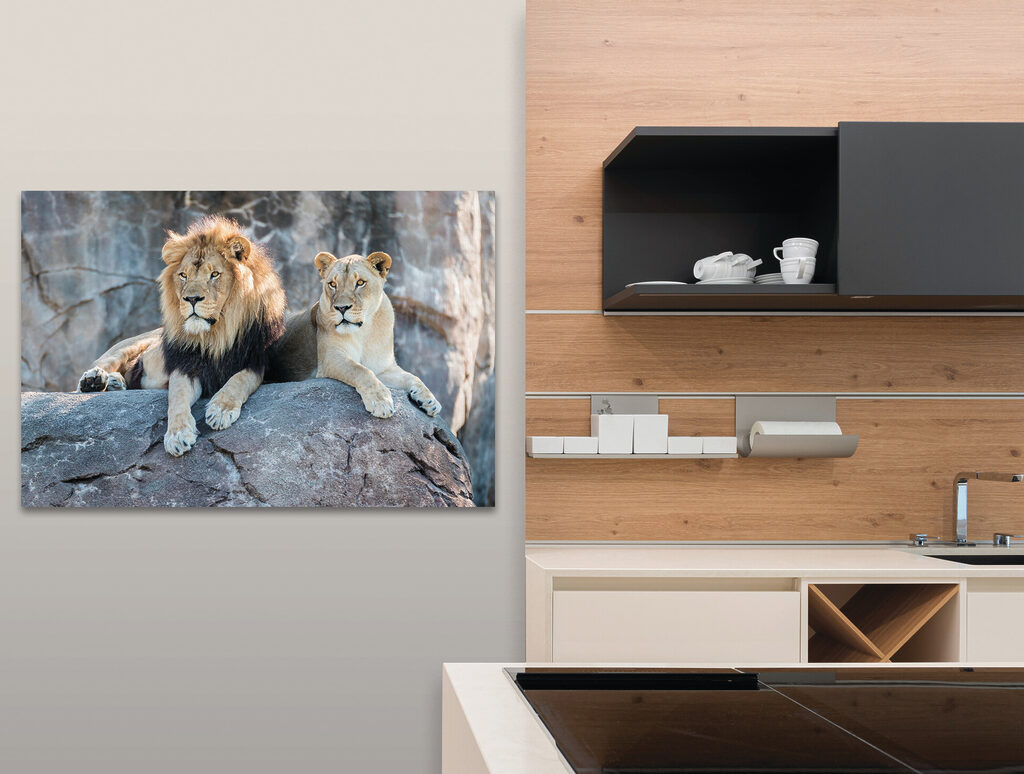 Lions au repos — intérieur 2