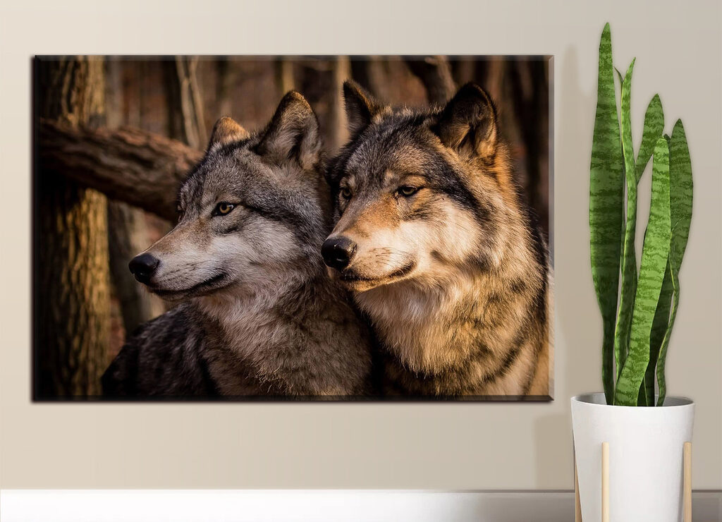 Loups dans le sous-bois — intérieur 1