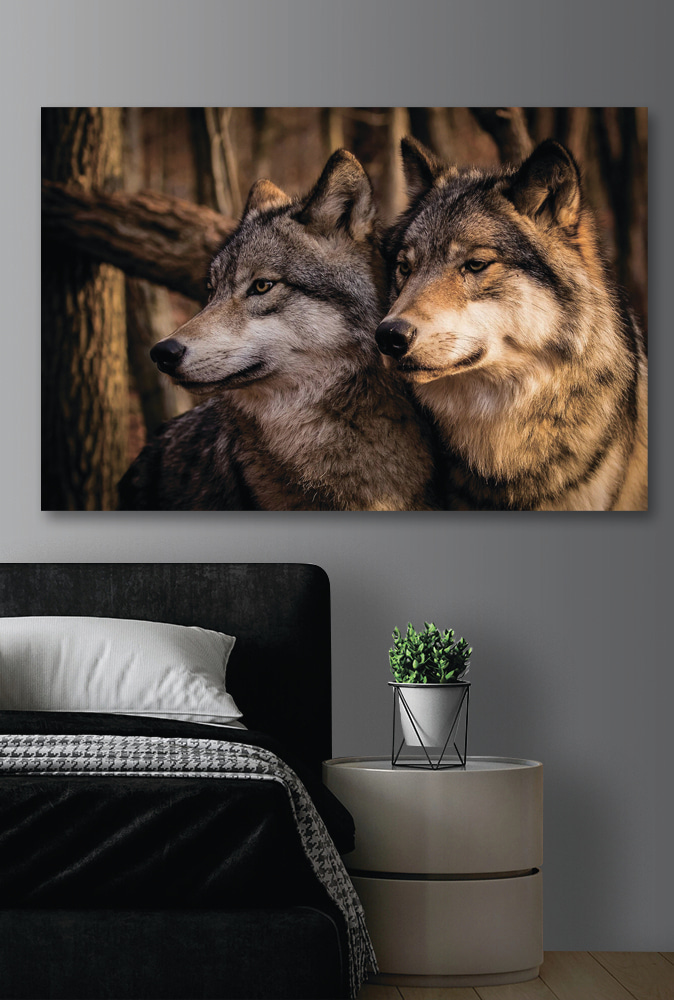 Loups dans le sous-bois — intérieur 2