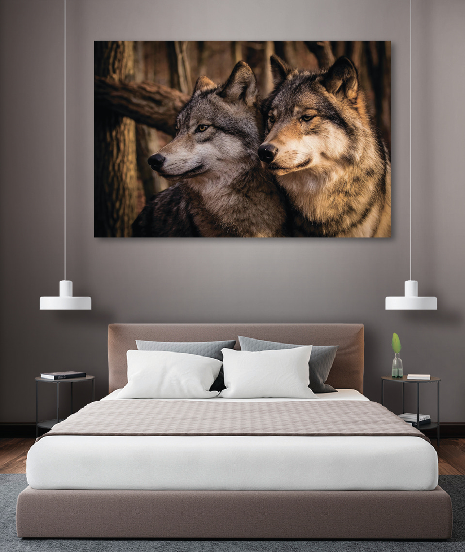 Loups dans le sous-bois — intérieur 3