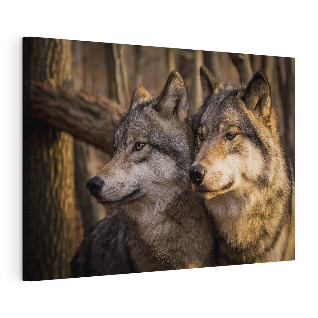 Loups dans le sous-bois, toile tendue et bord enveloppé