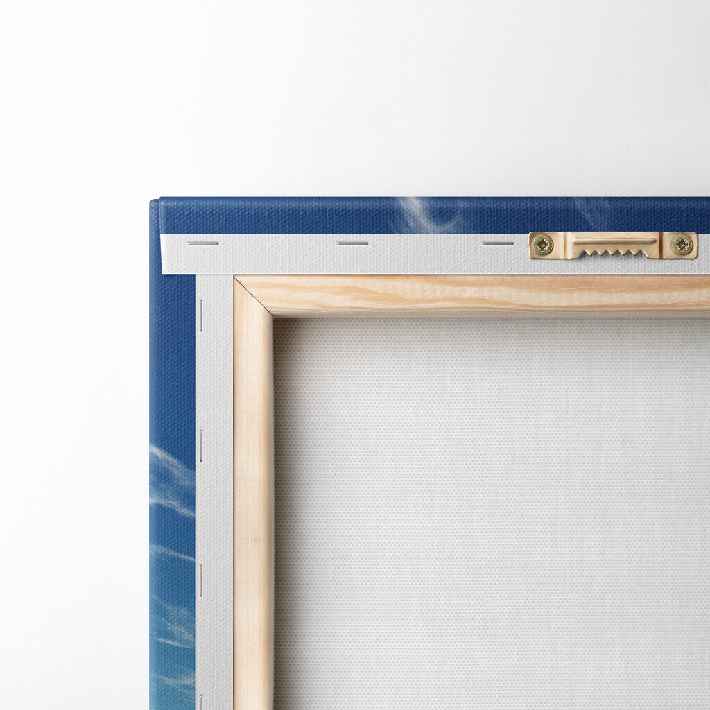 Toutes voiles dehors — dos
