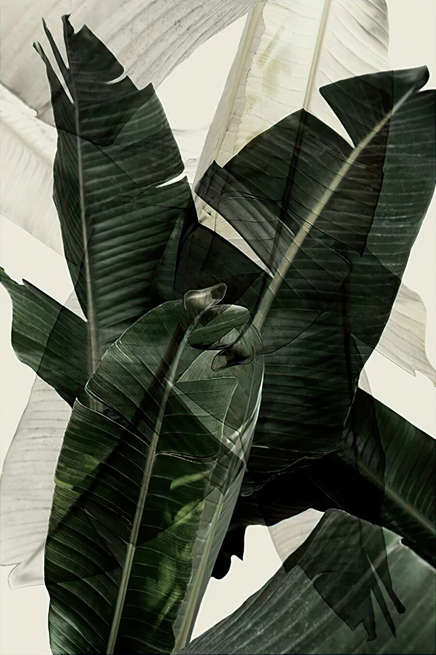 Parmi les feuilles tropicales — motif complet