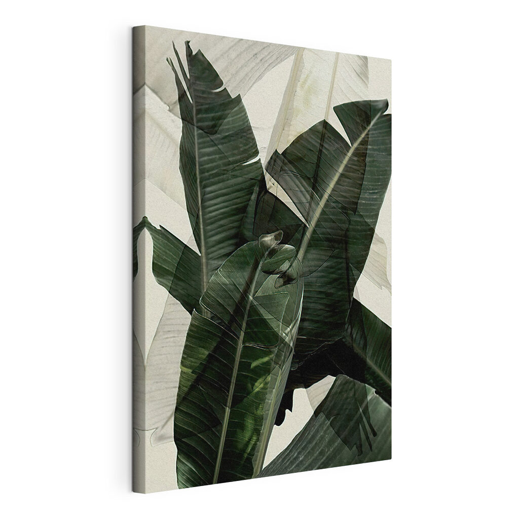 Parmi les feuilles tropicales — vue du produit