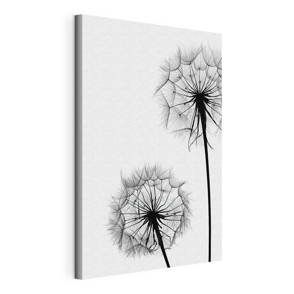 Aigrettes sur blanc, toile tendue et bord enveloppé
