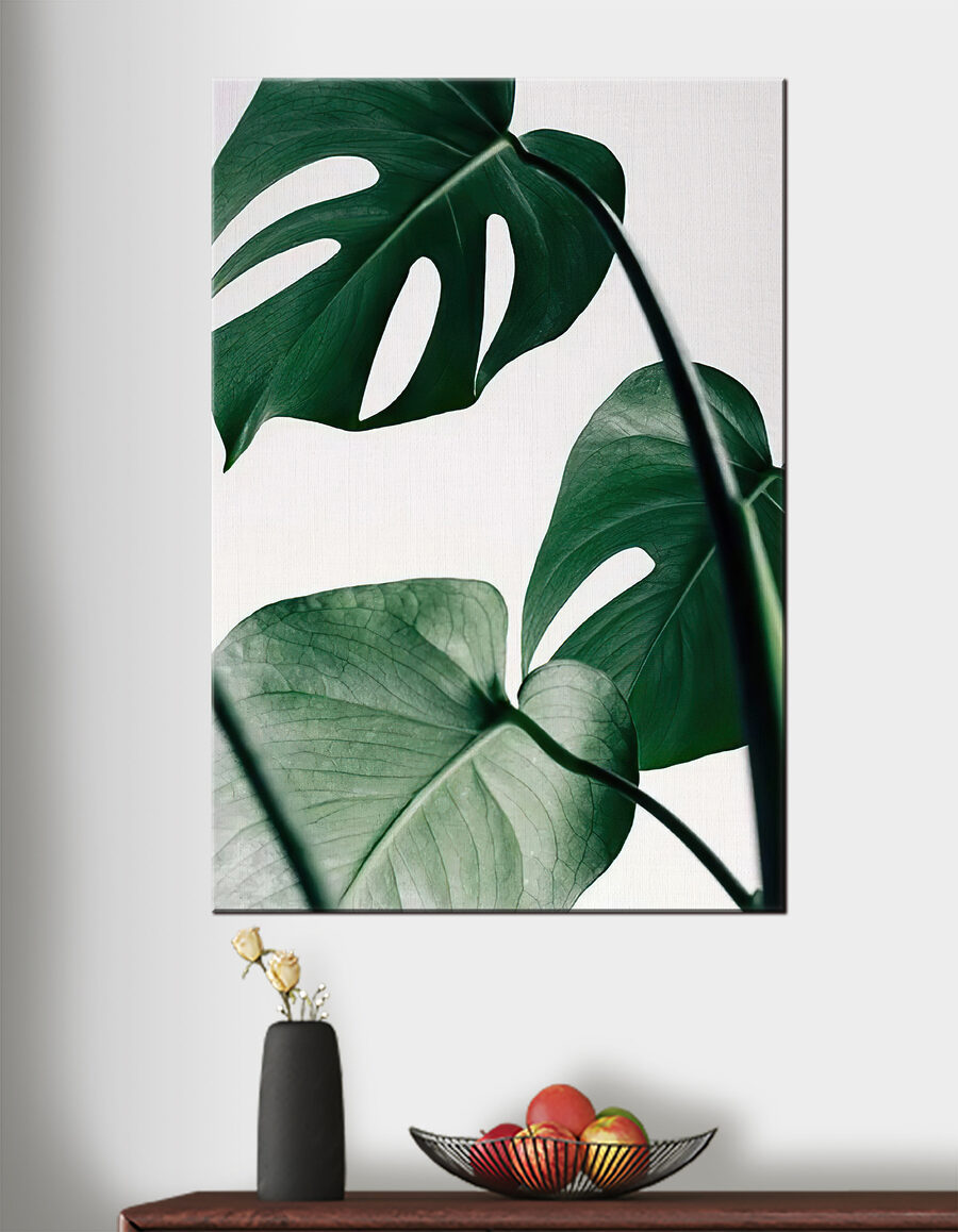 Monstera sur fond clair — intérieur 2
