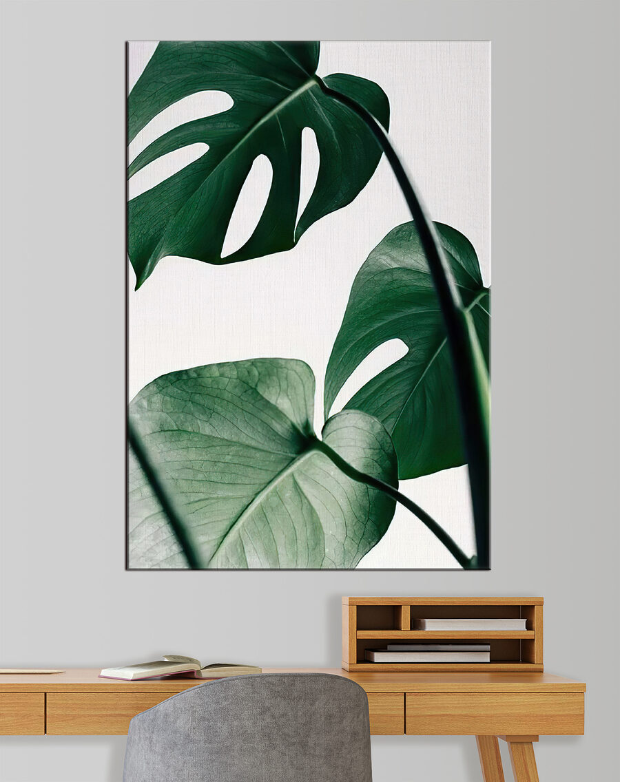 Monstera sur fond clair — intérieur 1