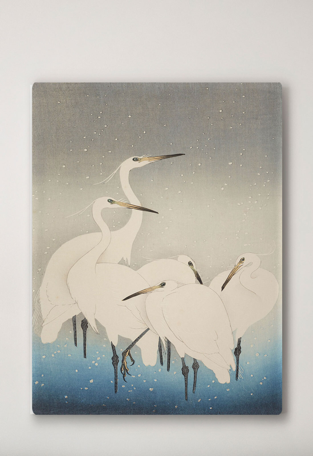 Grues blanches — intérieur 1