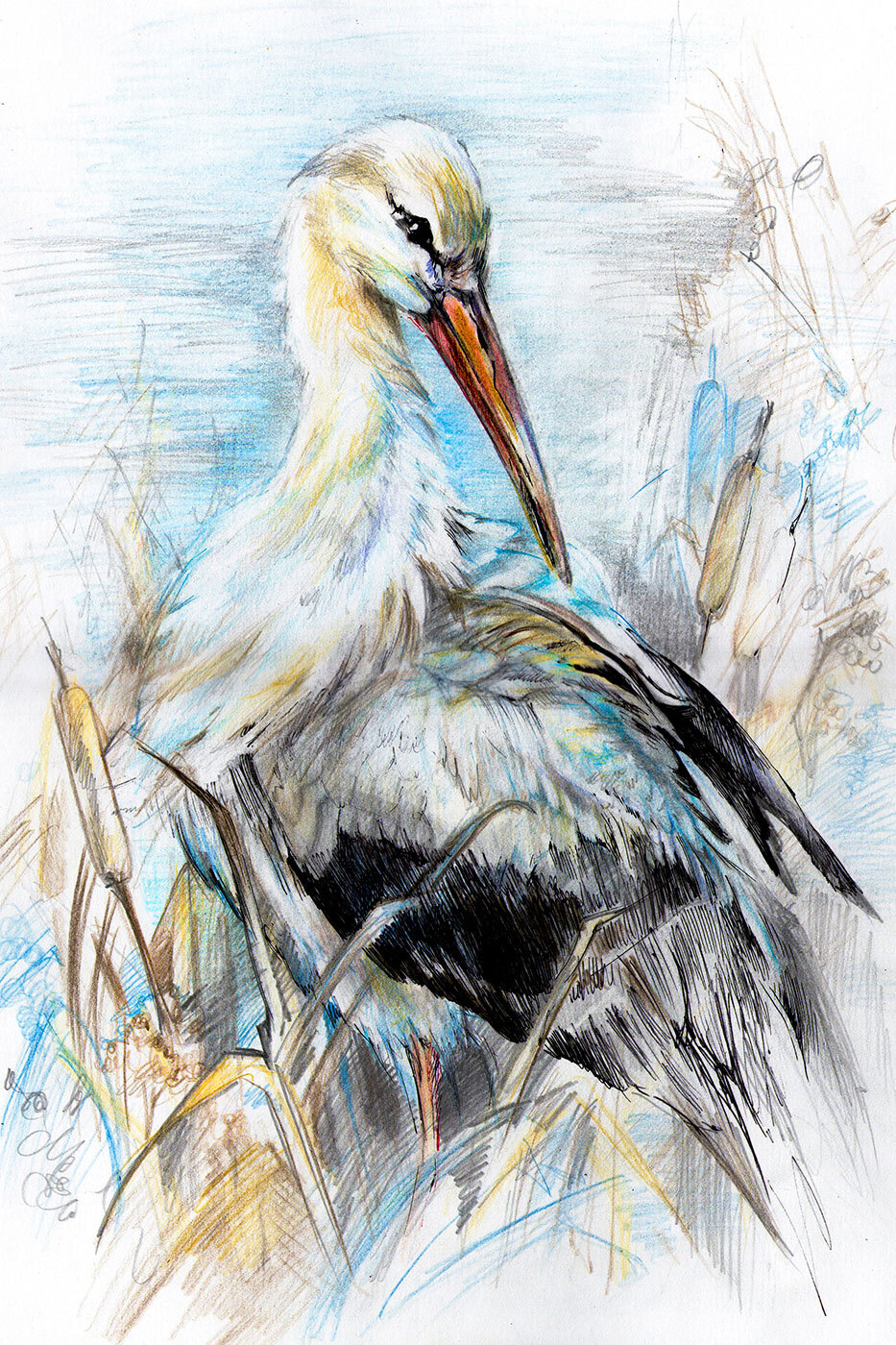 Oiseau aux traits libres — motif complet
