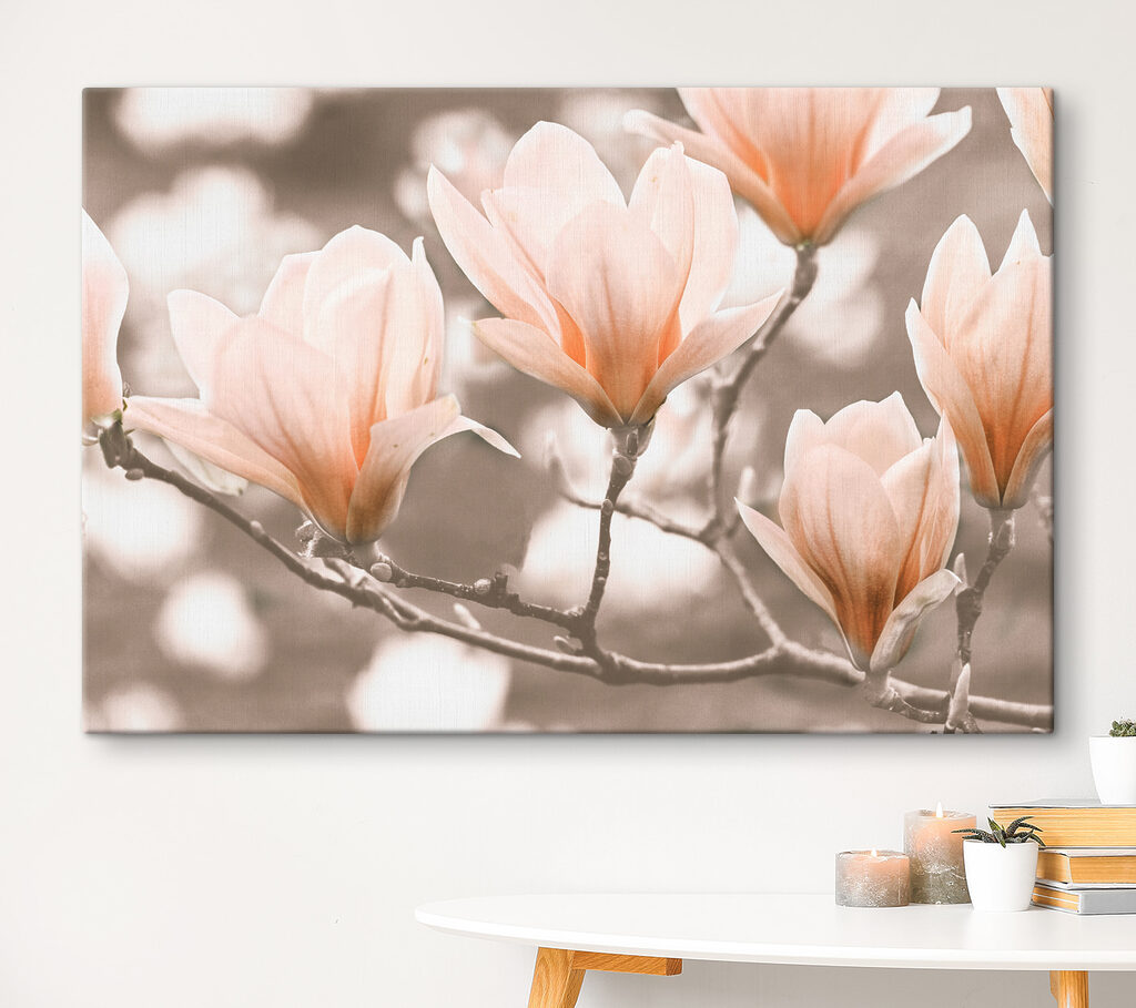 Douces branches fleuries — intérieur 3