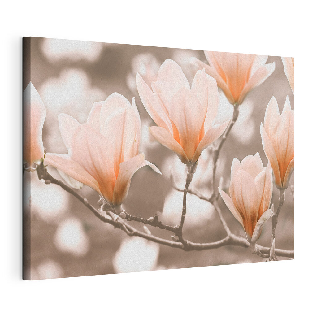 Douces branches fleuries, toile tendue et bord enveloppé