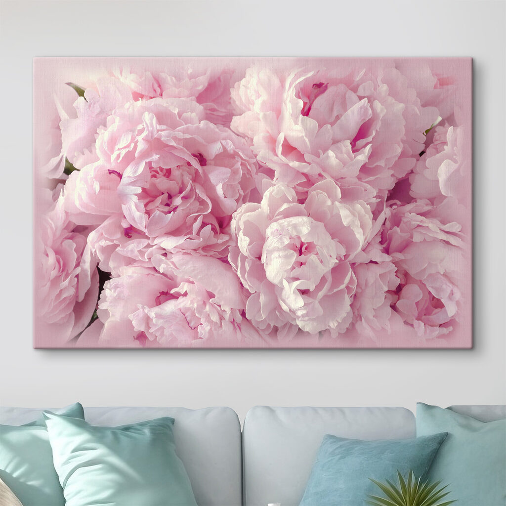 Pivoines blotties — intérieur 2
