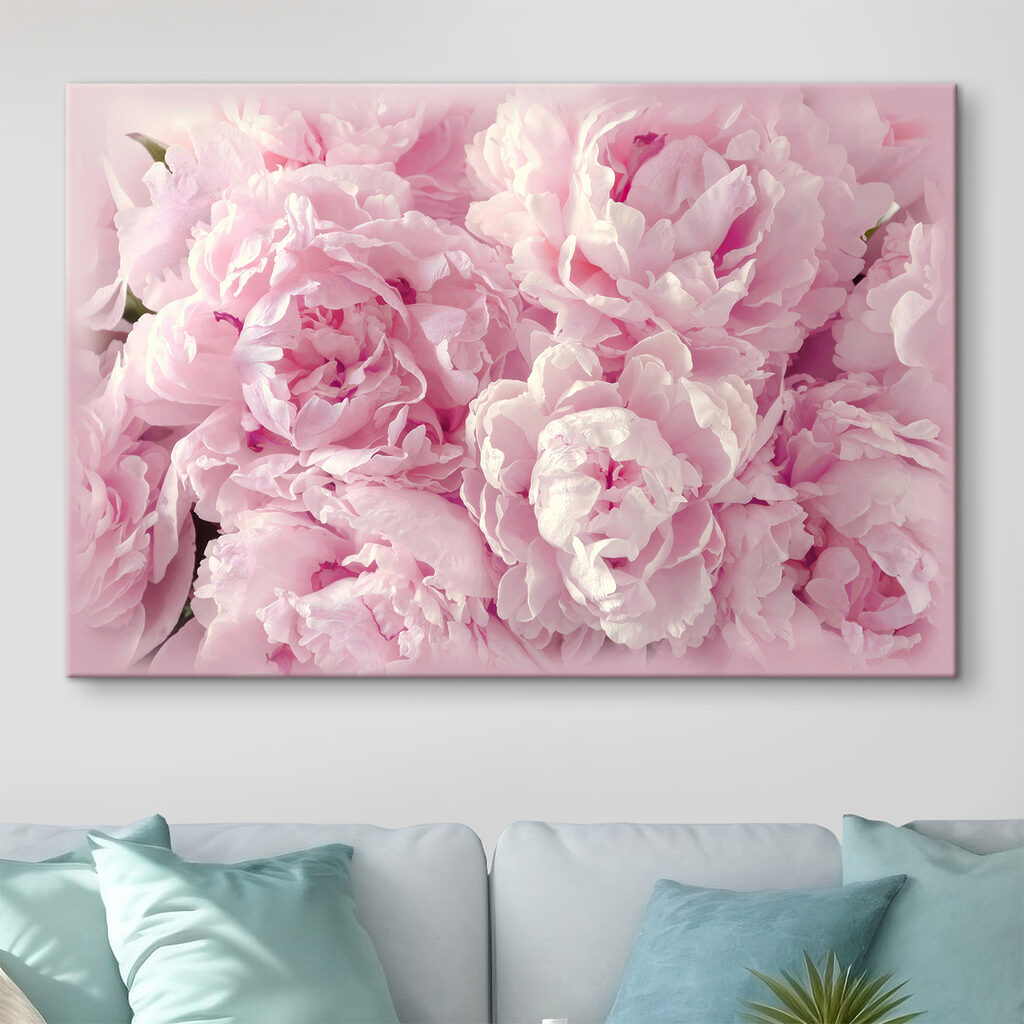 Pivoines blotties — intérieur 5