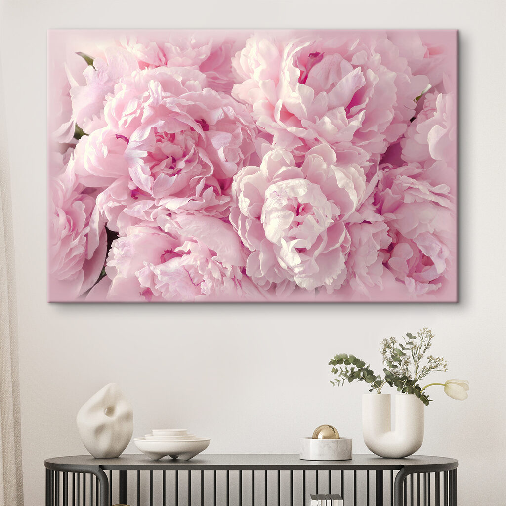 Pivoines blotties — intérieur 6