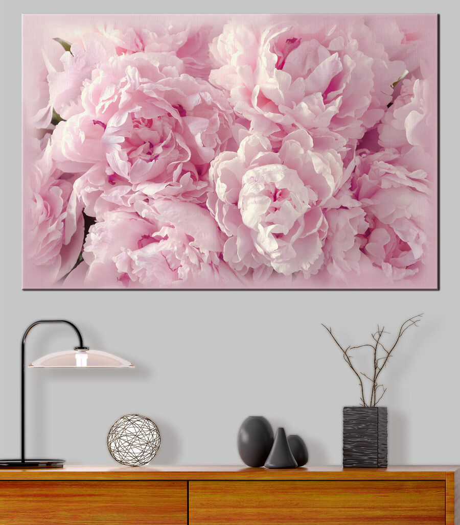 Pivoines blotties — intérieur 3