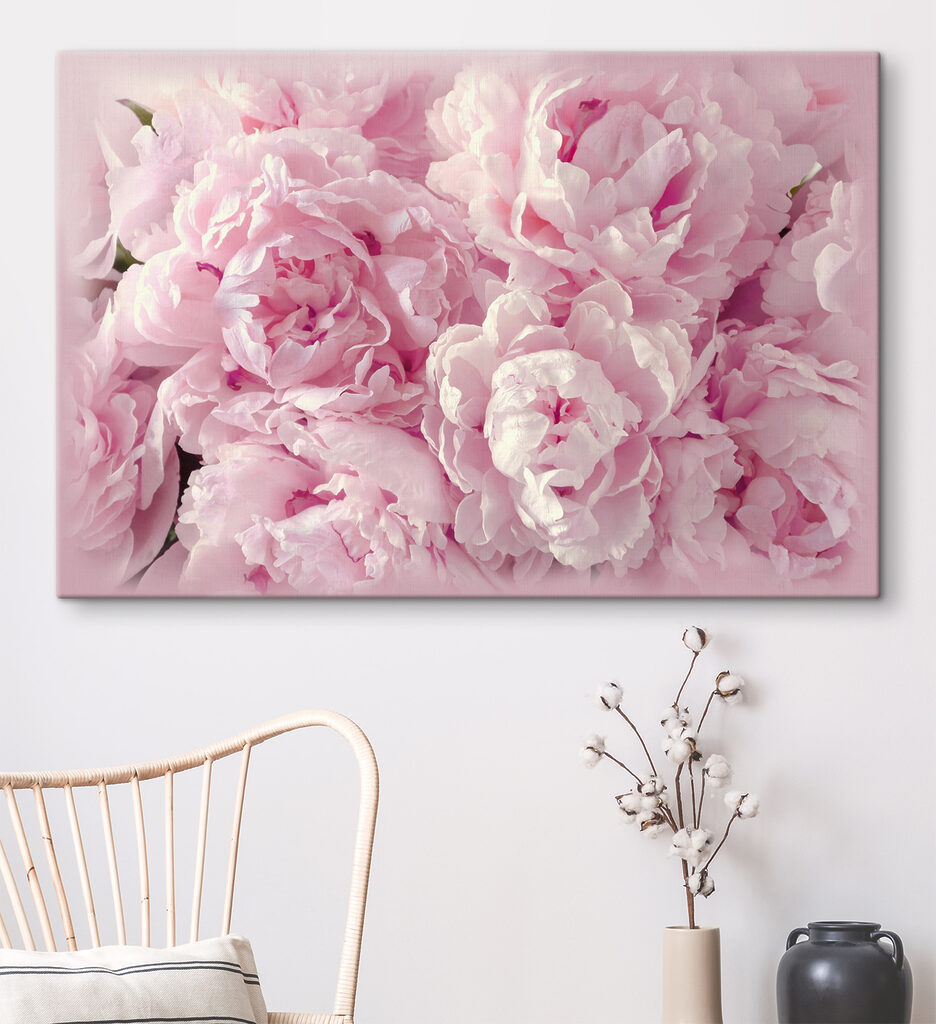 Pivoines blotties — intérieur 4