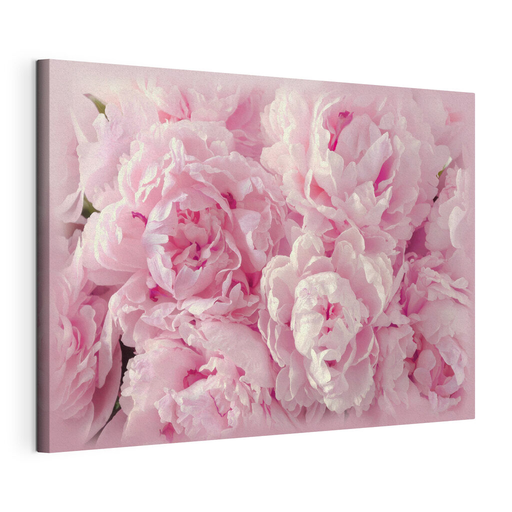 Pivoines blotties, toile tendue et bord enveloppé