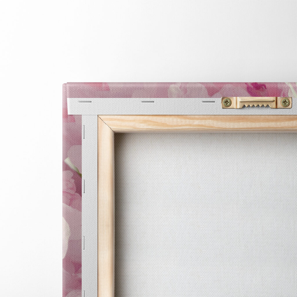 Pivoines blotties — dos