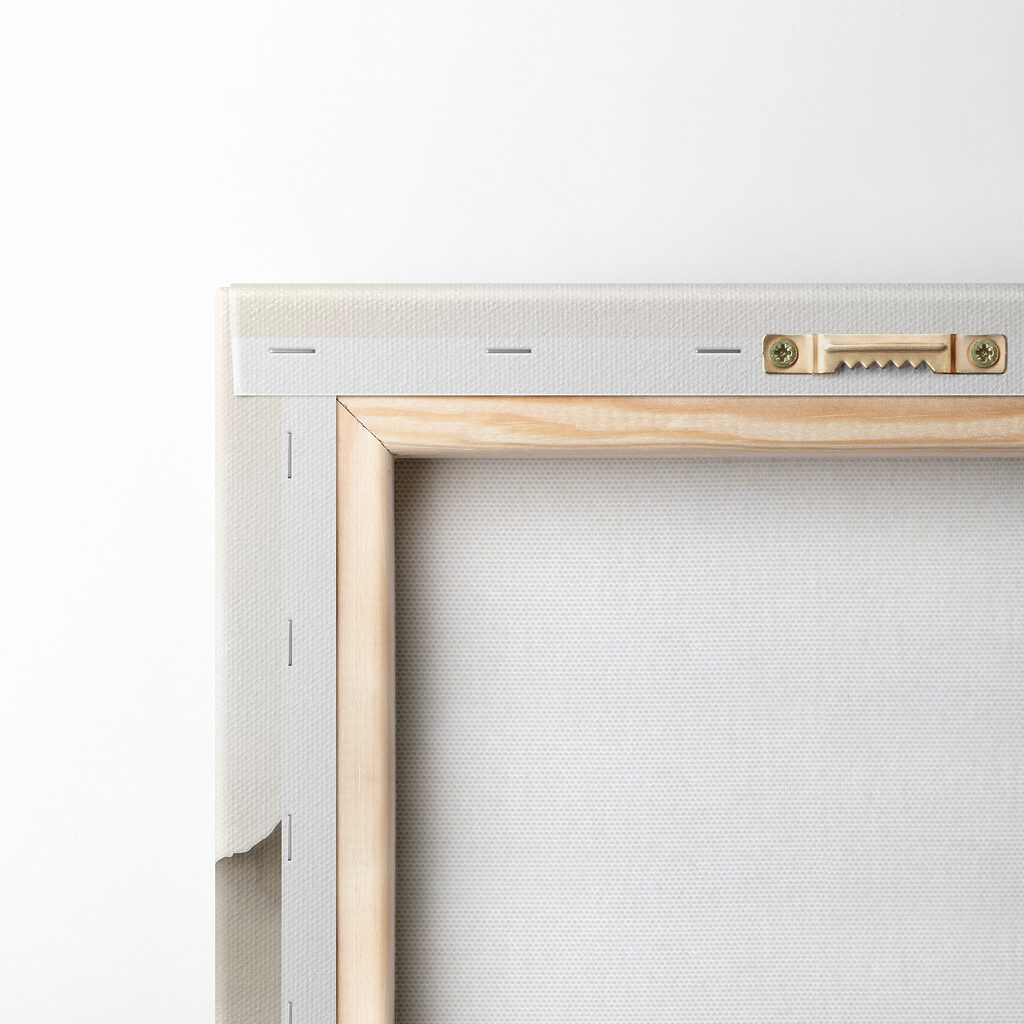 Brume sur sommets pâles — dos