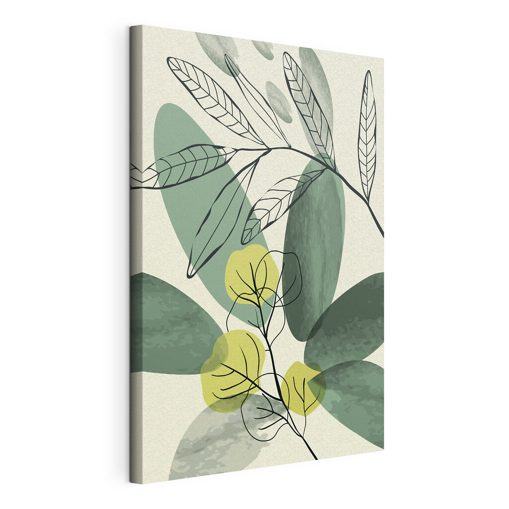 Feuille verte en contours — vue du produit