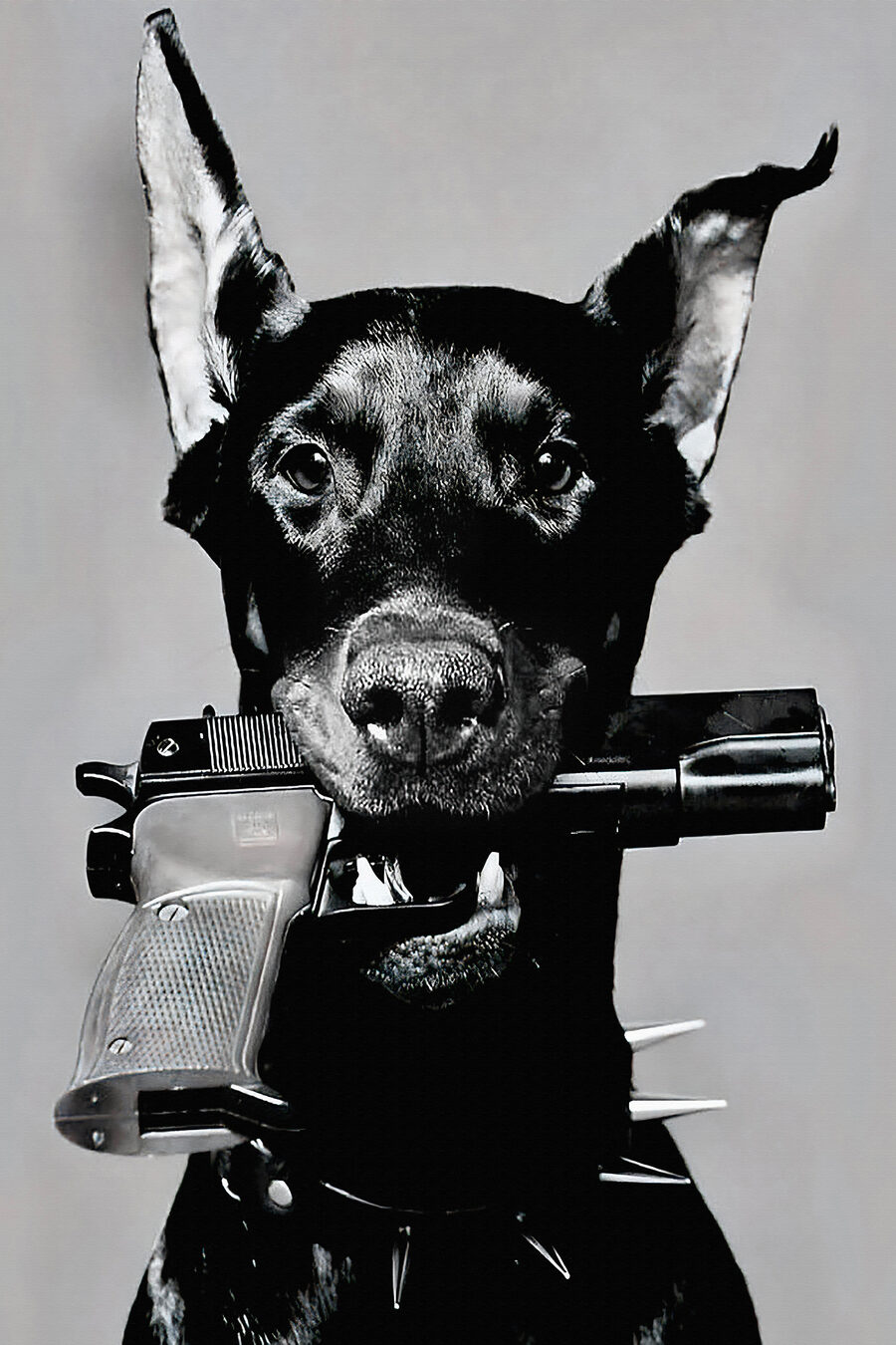 Chien au pistolet — motif complet