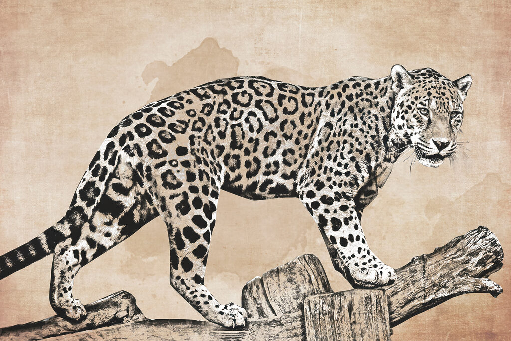 Léopard sur une branche — motif complet
