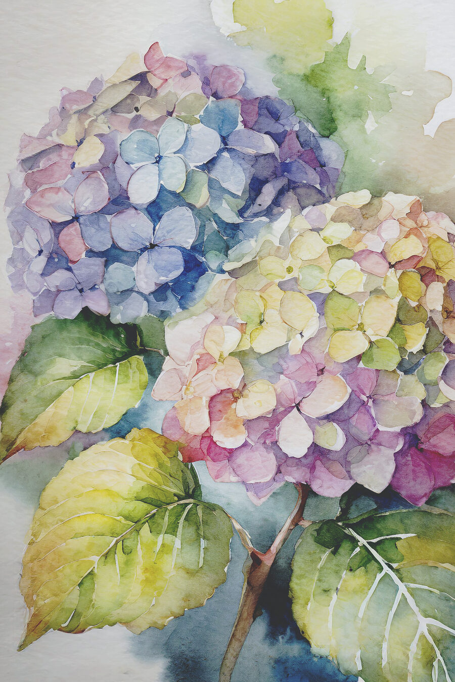 Hortensias en aquarelle légère — motif complet