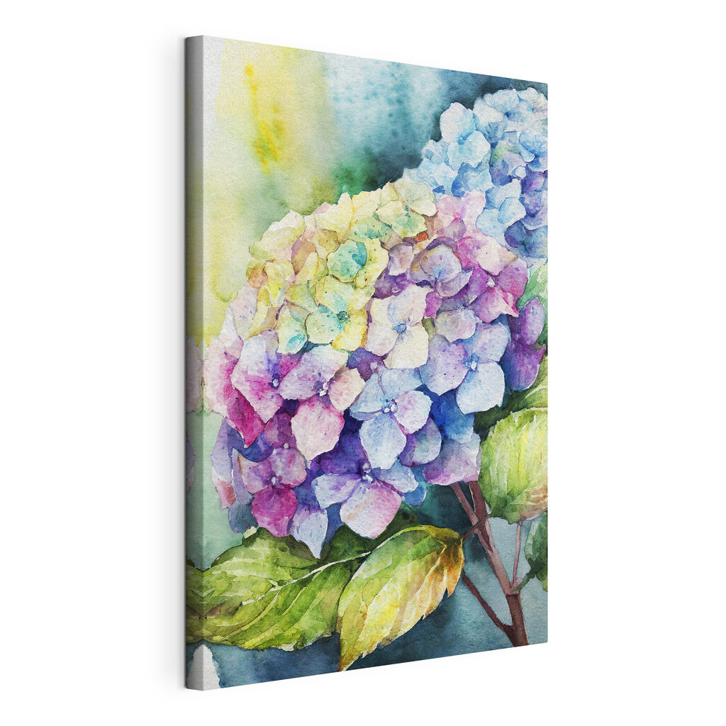 Boule d’hortensia — vue du produit