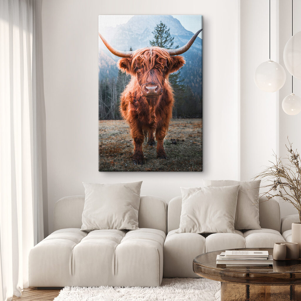 Vache aux longues cornes — intérieur 2