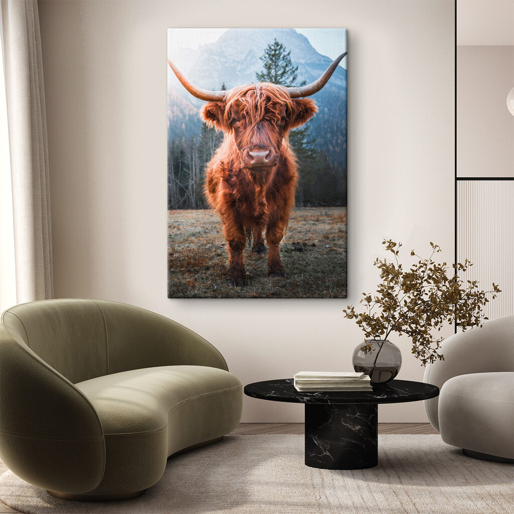 Vache aux longues cornes — intérieur 3