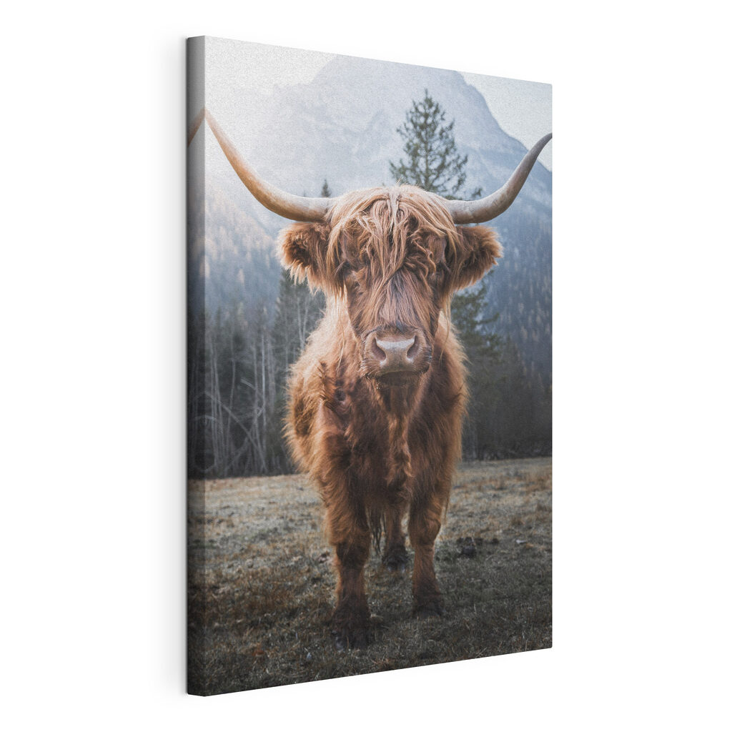 Vache aux longues cornes — vue du produit