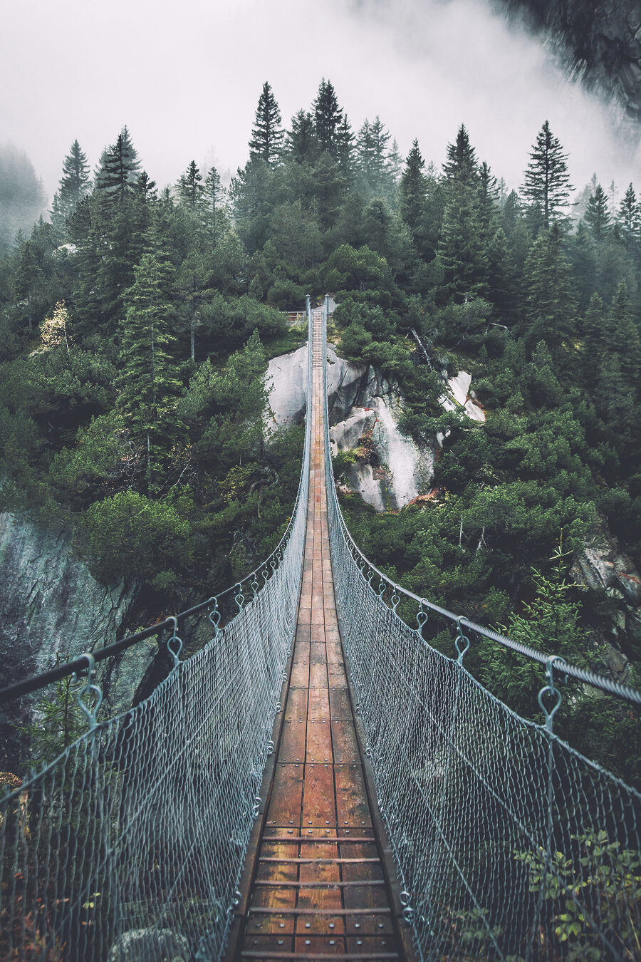 Pont suspendu en forêt — motif complet