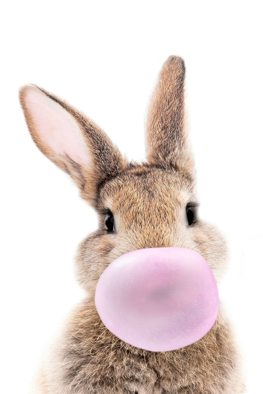 Lapin au chewing-gum — motif complet