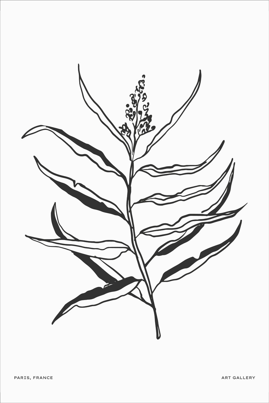 Rameau noir et blanc — motif complet