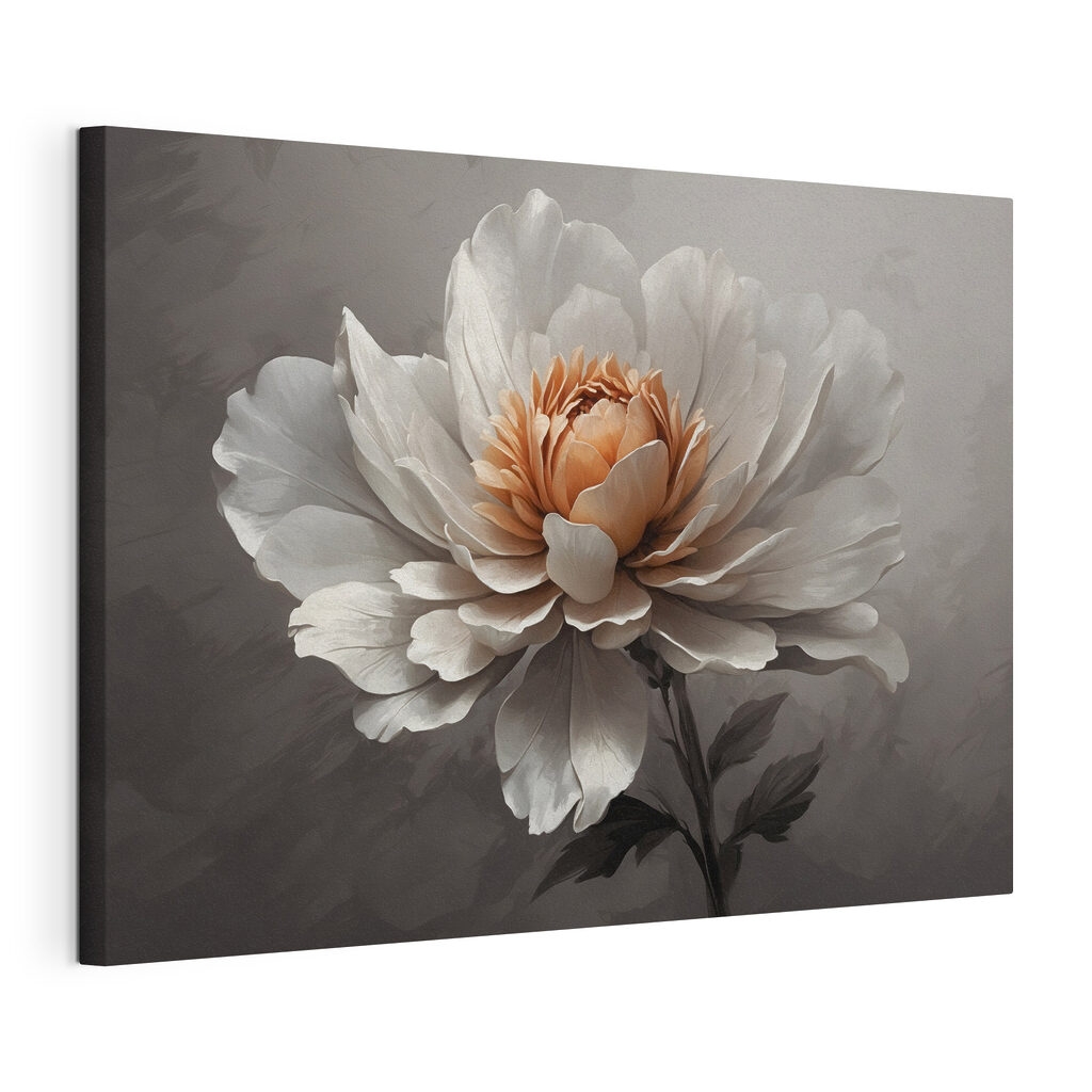 Pivoine sur gris profond, toile tendue et bord enveloppé